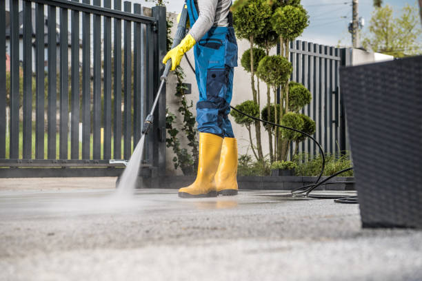 Best Deck Pressure Washing  in Ferrysburg, MI