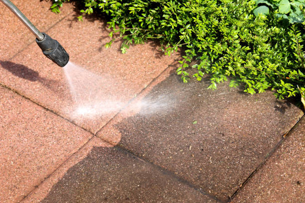 Roof Power Washing Services in Ferrysburg, MI