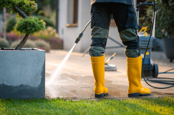 Best Affordable Power Washing  in Ferrysburg, MI